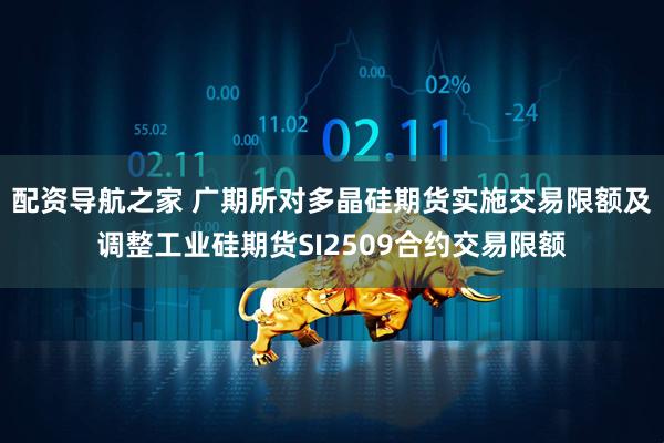 配资导航之家 广期所对多晶硅期货实施交易限额及调整工业硅期货SI2509合约交易限额