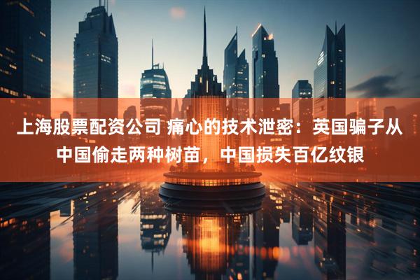 上海股票配资公司 痛心的技术泄密：英国骗子从中国偷走两种树苗，中国损失百亿纹银