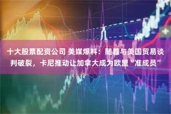 十大股票配资公司 美媒爆料：随着与美国贸易谈判破裂，卡尼推动让加拿大成为欧盟“准成员”